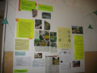 /album/pulsatilla/vystava-10-031-r-jpg/